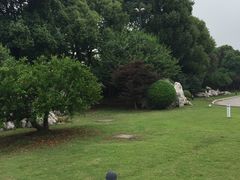 -同里湖大饭店-怡景轩中餐厅(同里古镇店)