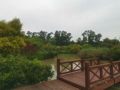 -大湾区中央湿地公园