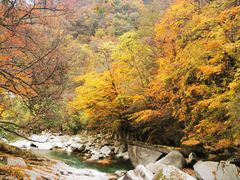 -光雾山旅游景区