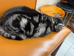 -疯狂烤翅(飘逸路店)