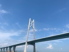 -招商蛇口邮轮母港(观光客运)