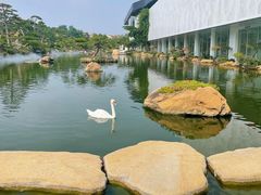 -罗红摄影艺术馆