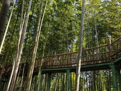 -陶祖圣境风景区