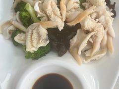 -鲁前海沿儿