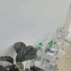 点击看大图 -凡碧诗毛孔清洁收细