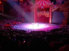 -珠海横琴长隆《卡卡虎奇遇记》