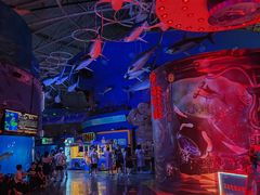 -烟台海昌鲸鲨海洋公园