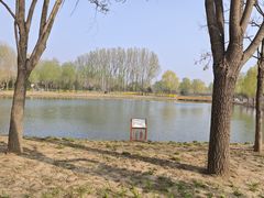 -东郊湿地公园