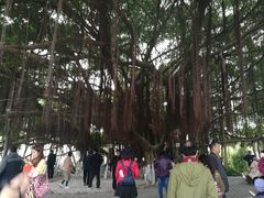 -胡里山炮台