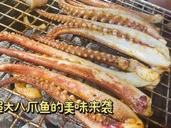 -奥西拉烤肉,盒饭,冷面(青岩刘店)