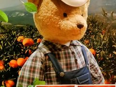 -济州岛泰迪熊博物馆