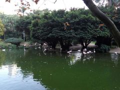 -九龙公园