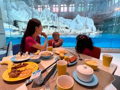 -帝企鹅自助餐厅•儿童岛•真企鹅(长隆企鹅酒店)