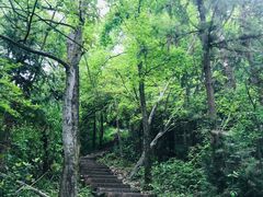 -云碧峰国家森林公园