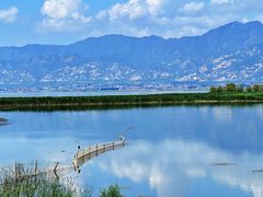 -野鸭湖国家湿地公园