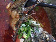 -风鑫铃罗非鱼(道沟店)