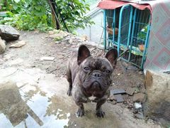 -梨木台悦来客农家院