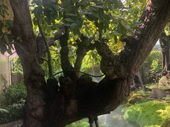 -Chom Cafe and Restaurant