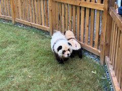 -茅山东方盐湖城景区