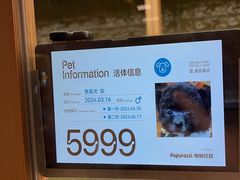 -帕帕拉兹宠物(亚洲旗舰店)