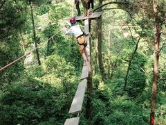 -芦仙山景区-飞越丛林探险乐园