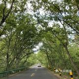 悠闲步伐，林中漫游