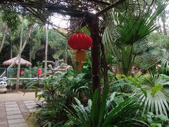 -海南热带野生动植物园