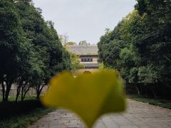 -灵谷景区