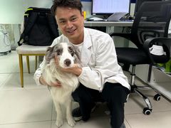 -申普宠物医院·心脏介入·心血管微创(总院)