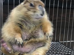 -乐宠宠物店(世纪金源店)