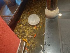 -颐和•海鲜砂锅粥•啫啫煲(奥林匹克广场店)