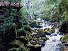 -西岭雪山大飞水景区