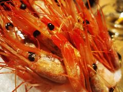 -额尔敦牛厨师铜板烧