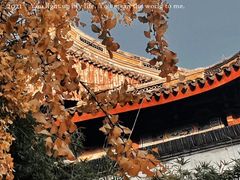 -西园寺