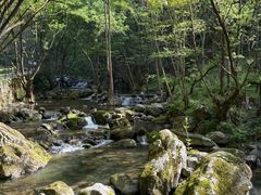 -牛背梁国家森林公园