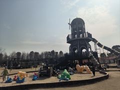 -上海长兴岛郊野公园