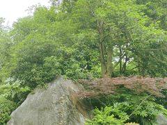 -新荣记(西溪湿地店)