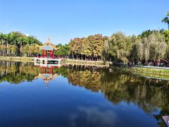 -金砂公园