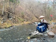 -凤凰山国家森林公园