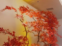 -董家大院·京味家常菜(朝丰家园店)