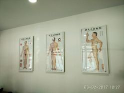 -赵大夫减肥