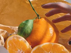 -金谷域澳洲庄园