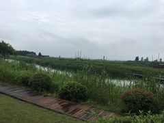 -太湖湖滨国家湿地公园-停车场
