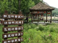 -快活林烧烤(红新路店)