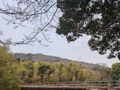 -宝界山林公园