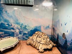 -上海大自然野生昆虫馆