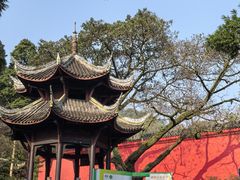 -峨眉山报国寺