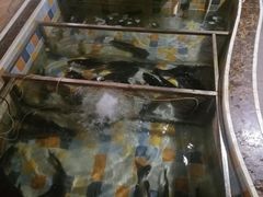 -缘福乡村铁锅炖民宿(八达岭店)