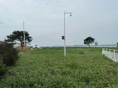 -七的湖·晚芳亭·阳澄湖农家菜·大闸蟹(莲花岛店)