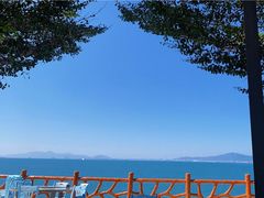 -七鲜渔港美食餐厅(巽寮湾海景店)